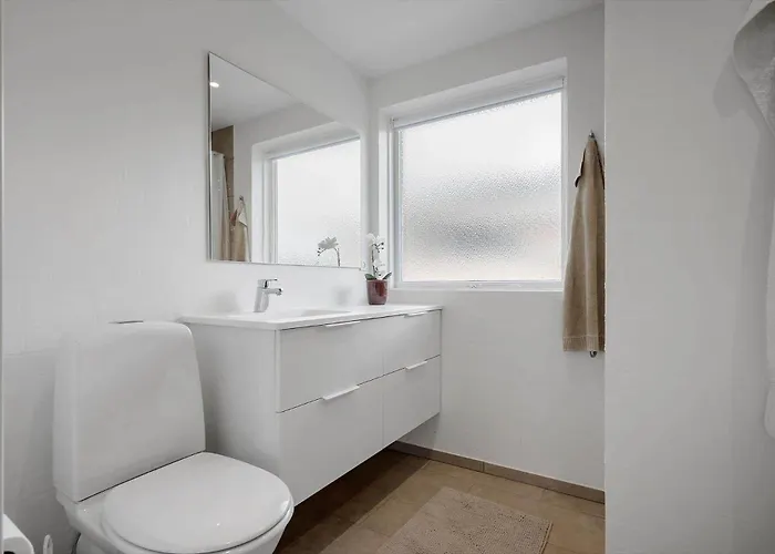 Vakantiehuis 8807-hvide-sande-baunevej-7 *